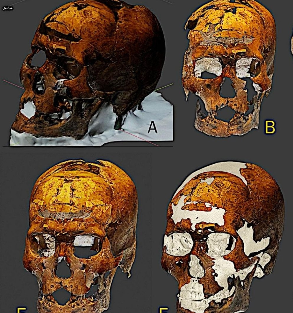 Vào năm 2022, các nhà nghiên cứu chụp hàng chục bức ảnh từ nhiều góc khác nhau của hộp sọ.