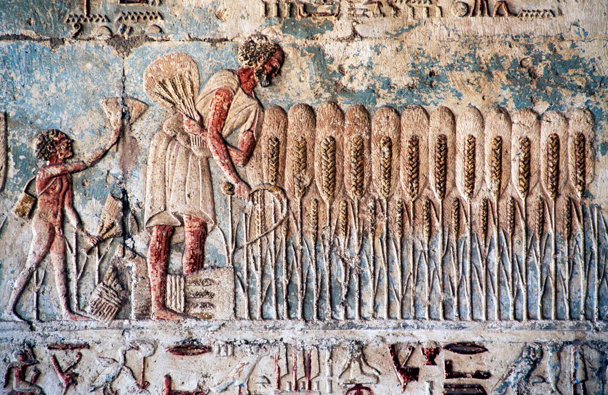 Các nhà nghiên cứu cho rằng, người chết có thể là những người Ai Cập hy sinh trong cuộc chiến chống lại cuộc tấn công của Vương quốc Ptolemaic.