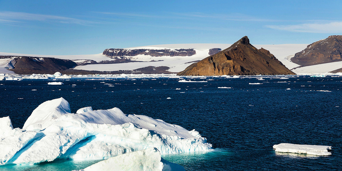 Theo đó, công chúng có thể lắng nghe những âm thanh của những loài động vật sống dưới đại dương như cá voi xanh - loài động vật lớn nhất thế giới.
