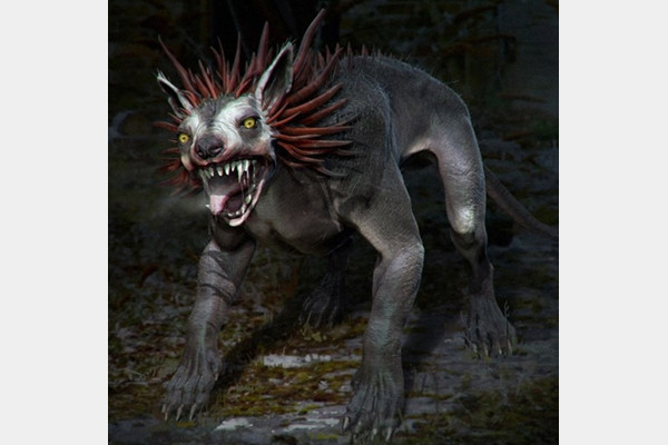 Sinh vật Chupacabra cắn chết và hút cạn máu của nhiều con cừu tại châu Mỹ và một số nơi trên thế giới khiến người dân hoang mang lo lắng.