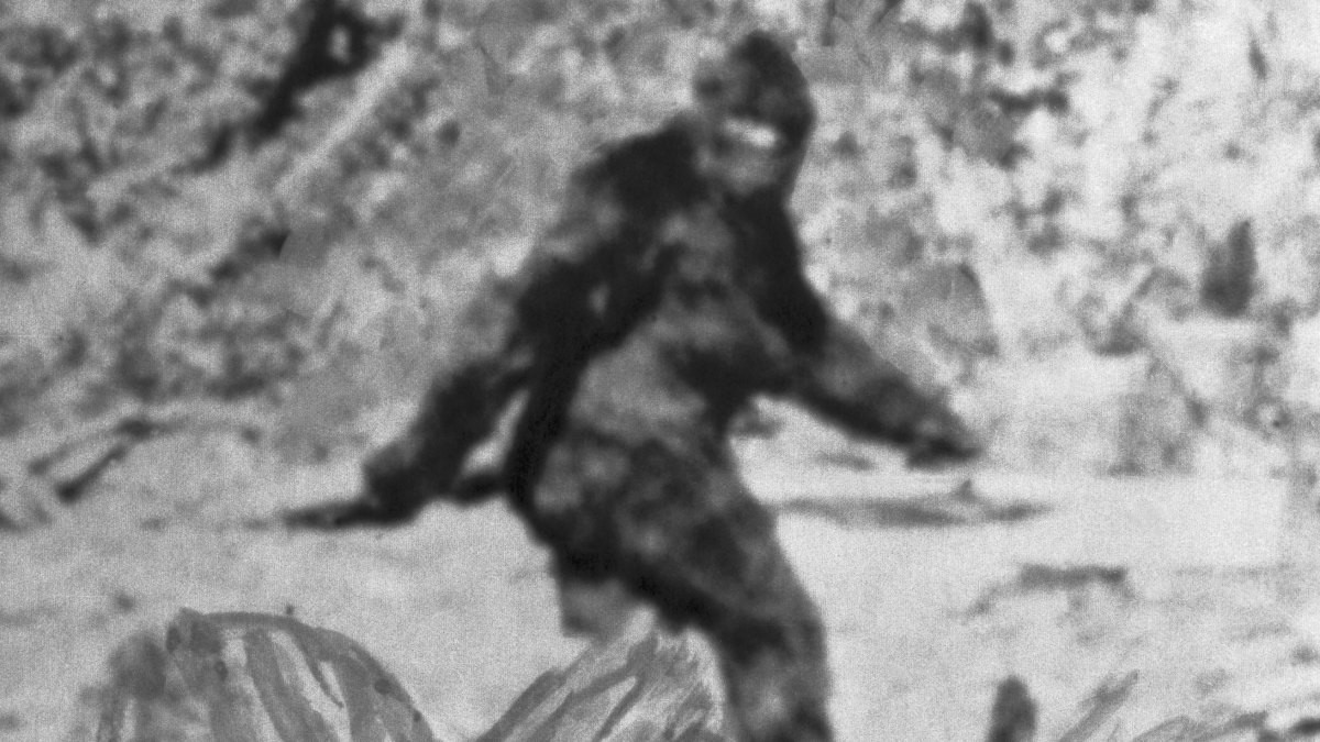 Bigfoot hay còn gọi Sasquatch là một trong những quái vật rùng rợn mà giới khoa học cũng như công chúng đã và đang truy tìm. Sinh vật bí ẩn này được các nhân chứng mô tả cao khoảng 2-3m, nặng hơn 200 kg.