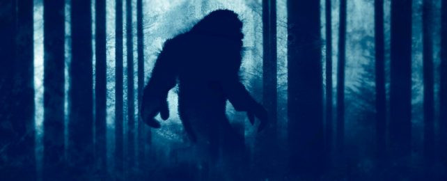 Quái vật Bigfoot có hình dáng giống vượn, có thể đi thẳng trên hai chân. Nó thỉnh thoảng xuất hiện trong các khu rừng hẻo lánh ở Bắc Mỹ. Trong nhiều thập kỷ gần đây, các chuyên gia nỗ lực tìm kiếm các manh mối nhằm xác thực sự tồn tại của Bigfoot nhưng đến nay vẫn chưa thành công.