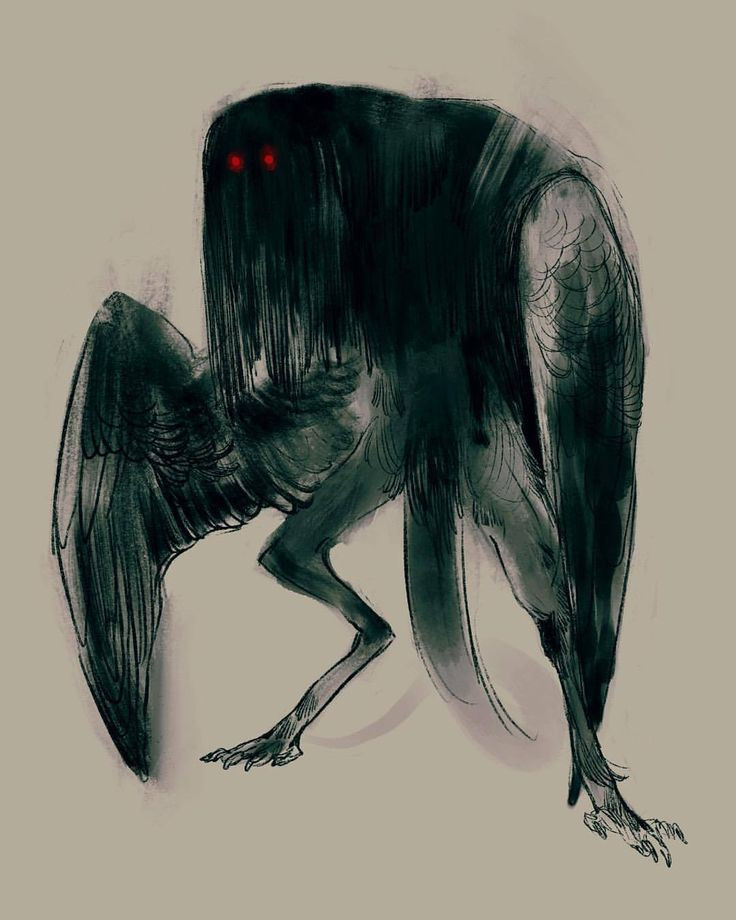 Trong thời gian từ 11/1966 đến năm 1968, một số người dân ở phía nam Virginia, Mỹ chạm trán sinh vật kỳ bí có tên Mothman. Theo lời kể các nhân chứng, quái thú này cao hơn 2m và có đôi cánh rộng hơn 3m.