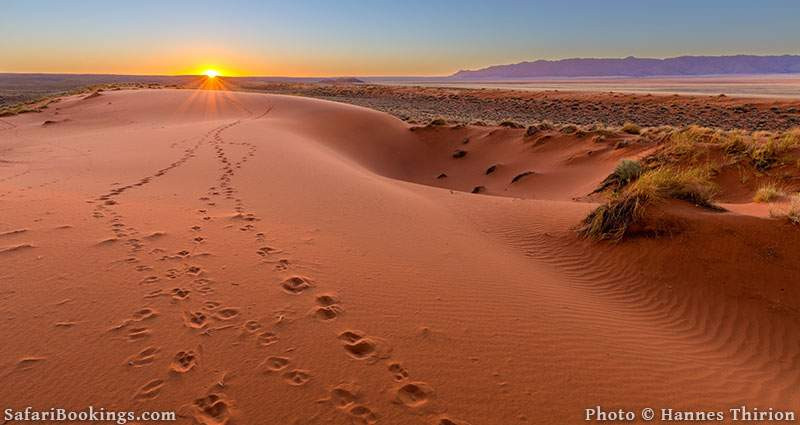 Một bí ẩn lớn mà giới khoa học đang nỗ lực đi tìm lời giải là sự sụp đổ của nền văn minh bí ẩn tại sa mạc Kalahari. Vào cuối thế kỷ 19, nhà thám hiểm William Leonard Hunt cùng con trai nuôi đã đến sa mạc Kalahari chụp ảnh và nghiên cứu khu vực này.