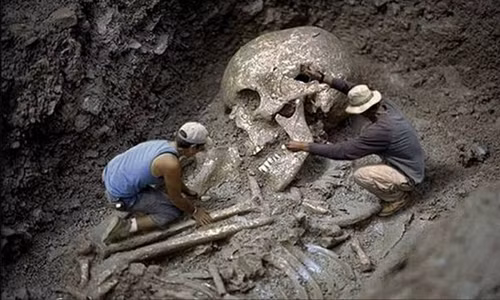 Các bộ hài cốt được phát hiện có chiều cao trung bình từ 3 - 5m. Với vóc dáng này, một số người cho rằng, đó là hài cốt của người khổng lồ hoặc người ngoài hành tinh.