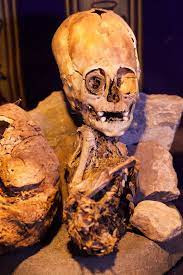 Một quan điểm suy đoán bộ hài cốt có hộp sọ to bất thường trên có thể thuộc về chủng tộc người khổng lồ mà chúng ta chưa từng biết đến.