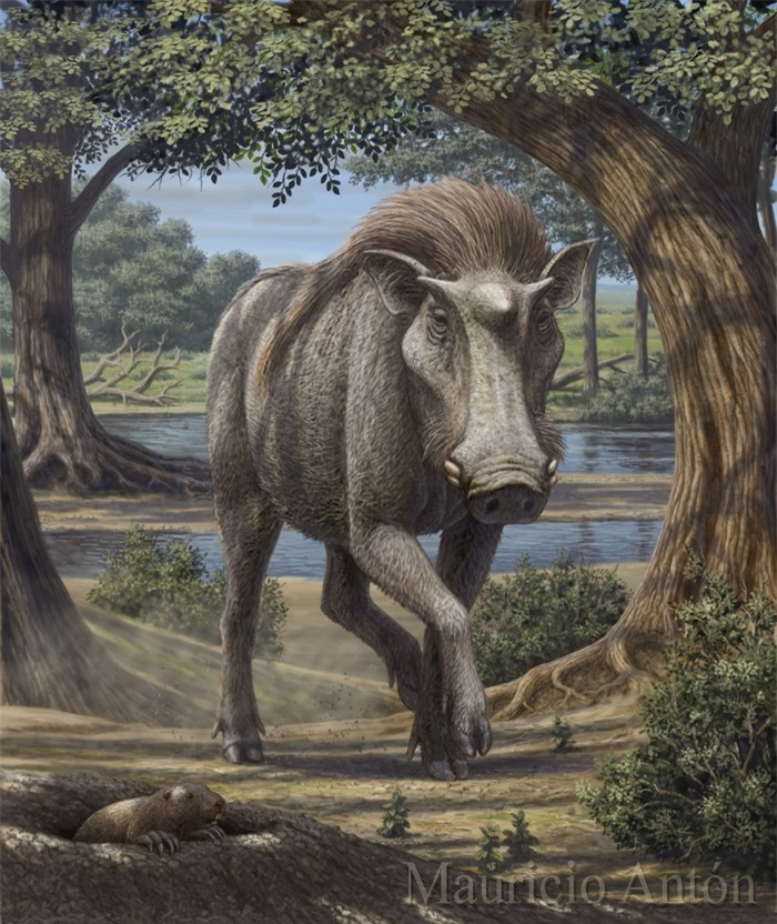 Loai lon co xua co sung giong nhu ky lan trong than thoai-Hinh-3