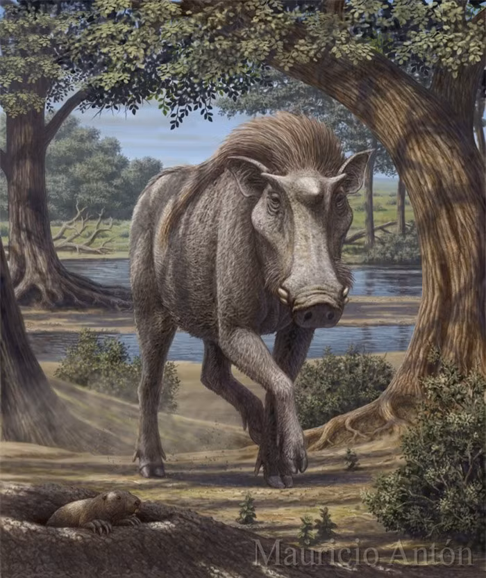 Loai lon co xua co sung giong nhu ky lan trong than thoai-Hinh-3