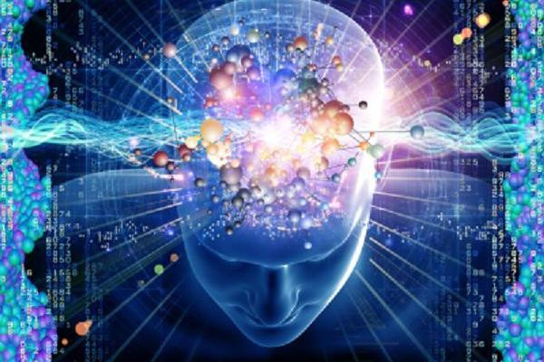 Đôi lúc, trực giác của con người đúng nhưng cũng có những khi lại sai. Các nhà khoa học đang nỗ lực giải mã trực giác có thật hay không. Nếu có thật thì nó hoạt động như thế nào.