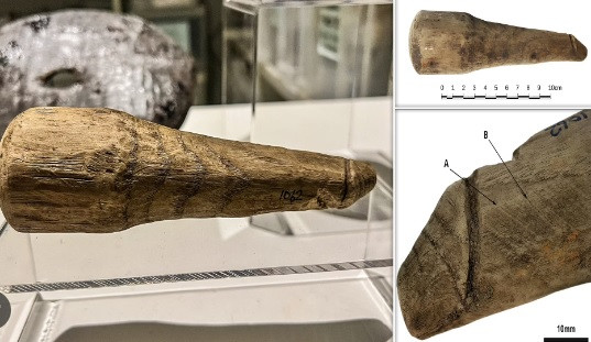 Tiến sĩ Rob Collins - một trong những chuyên gia thuộc nhóm nghiên cứu cho hay kết quả phân tích mới cho thấy cổ vật khoảng 2.000 tuổi đó có thể được người La Mã sử dụng làm đồ chơi người lớn.