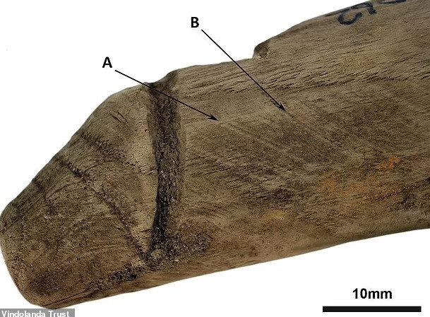 Những phát hiện này khiến các nhà nghiên cứu ban đầu cho rằng cổ vật dài 16 cm là dụng cụ may vá.