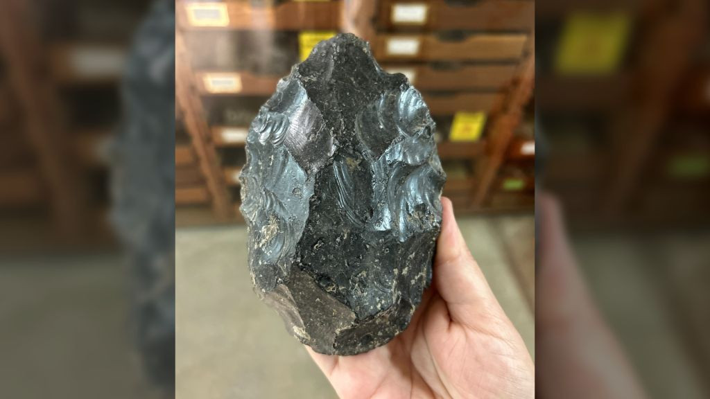 Các chuyên gia khảo cổ đã phát hiện một "xưởng sản xuất công cụ bằng đá" của họ hàng vô danh thông minh, khéo tay của con người ngày nay ở vùng đất ngày nay là Ethiopia. Cụ thể, một nhóm vượn hình người không xác định đã tạo ra hơn 500 chiếc rìu cầm tay bằng obsidian, tức "đá vỏ chai" hay "hắc diện thạch" vào hơn 1,2 triệu năm trước.