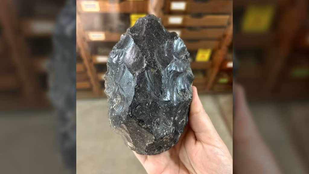 Các chuyên gia khảo cổ đã phát hiện một "xưởng sản xuất công cụ bằng đá" của họ hàng vô danh thông minh, khéo tay của con người ngày nay ở vùng đất ngày nay là Ethiopia. Cụ thể, một nhóm vượn hình người không xác định đã tạo ra hơn 500 chiếc rìu cầm tay bằng obsidian, tức "đá vỏ chai" hay "hắc diện thạch" vào hơn 1,2 triệu năm trước.