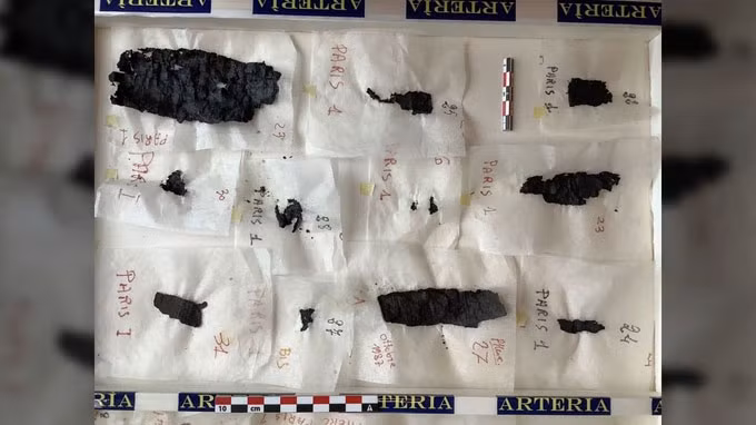 Theo các chuyên gia, cuốn sách cổ quý hiếm này bị hư hại nghiêm trọng do ảnh hưởng của vụ phun trào núi lửa Vesuvius vào năm 79 sau Công Nguyên.