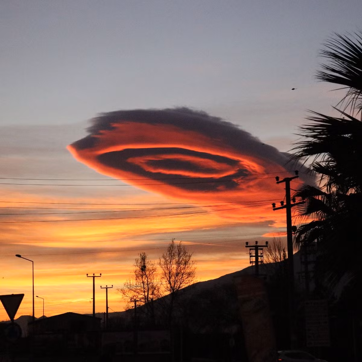 "Thật thú vị! Nó trông giống như một cảnh tượng trong phim khoa học viễn tưởng về người ngoài hành tinh", một người dùng mạng xã hội bình luận.