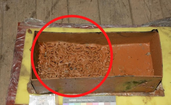 Sau nhiều thế kỷ "ngủ vùi" trong lòng đất, lớp vỏ đồng bọc bên ngoài chiếc hộp đã không còn được nguyên vẹn. Khi mở nắp hộp, họ nhận thấy bên trong là những "con bọ vàng".