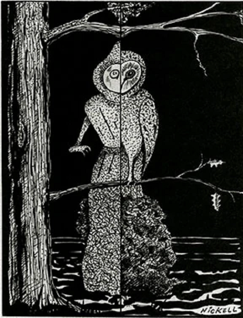 Sinh vật kỳ bí này bay lượn trên không và tạo ra âm thanh chói tai ghê rợn nên tất cả những người có mặt tại đó vội vã bỏ chạy vì hoảng sợ.