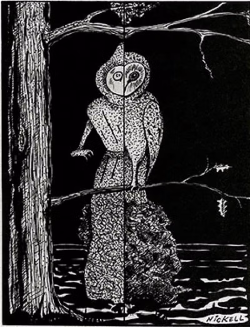 Sinh vật kỳ bí này bay lượn trên không và tạo ra âm thanh chói tai ghê rợn nên tất cả những người có mặt tại đó vội vã bỏ chạy vì hoảng sợ.