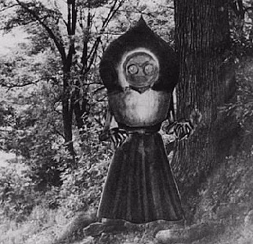 Lần đầu tiên quái vật Flatwoods được người dân Mỹ nhìn thấy là vào ngày 12/9/1952. Vào khoảng 7h15 tối hôm ấy, hai anh em Freddie và Edward May cùng 2 người bạn là Tommy Hyer và Neil Nunley đang chơi trên bãi cỏ của Trường tiểu học Flatwoods thuộc bang Braxton, phía Tây Virginia thì bất ngờ nhìn thấy một thứ gì rơi từ trên trời xuống.