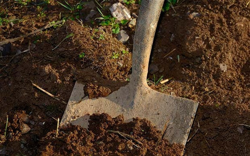 Tuy nhiên, ông Soren cho rằng, kết quả phân tích những bộ hài cốt trẻ em trên cho thấy nhiều trường hợp tử vong vì bệnh sốt rét. Đợt bùng phát dịch bệnh này có thể đã ảnh hưởng đến cách thức mai táng trẻ em của người dân khi đó.