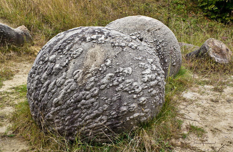 Thậm chí, một số người tin rằng, những tảng đá trovant giống như sinh vật sống hơn là vật vô tri vô giác. Bởi lẽ, chúng không chỉ có thể tự lớn lên theo thời gian mà còn có thể di chuyển, sinh ra đá con.