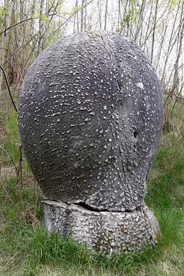 Về khả năng tự lớn lên theo thời gian, các chuyên gia cho hay đá trovant đặc biệt phát triển mạnh về kích thước khi tiếp xúc với nước.