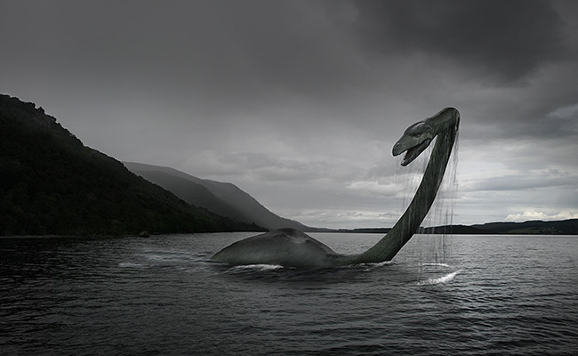 Nessie thỉnh thoảng trồi lên mặt nước để lộ chiếc cổ dài. Một số ghi chép rằng, quái vật hồ Loch Ness từng vài lần tấn công tàu thuyền của người dân khi họ dạo chơi trên hồ. Dù các chuyên gia đã thực hiện nhiều nghiên cứu tại hồ Loch Ness nhưng đến nay vẫn chưa tìm thấy bằng chứng khoa học để chứng minh sinh vật này có thật.