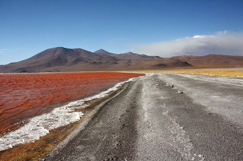 Các nhà khoa học đã bắt tay vào nghiên cứu nhằm tìm hiểu lý do khiến hồ Laguna Colorada có màu nước nổi bật như vậy.