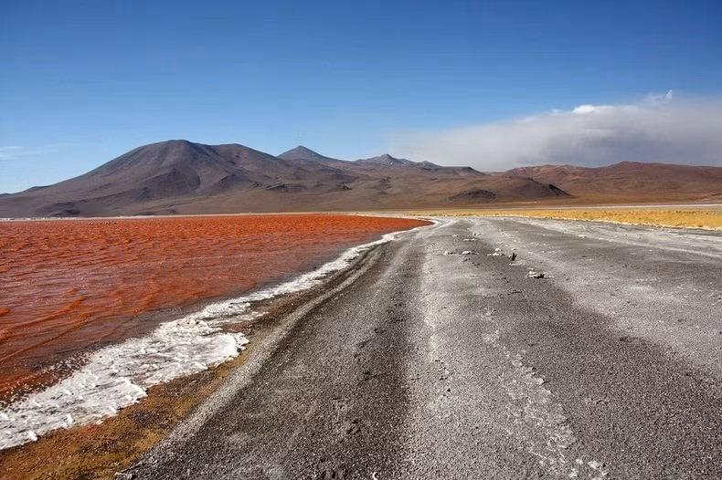 Các nhà khoa học đã bắt tay vào nghiên cứu nhằm tìm hiểu lý do khiến hồ Laguna Colorada có màu nước nổi bật như vậy.