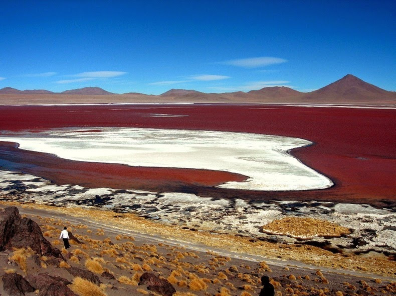 Theo các chuyên gia, hồ Laguna Colorada có diện tích khoảng 60 km2. Bên dưới đáy hồ có lớp trầm tích lắng đọng. Thêm nữa, các loài tảo sống trong hồ nước này đã sản sinh sắc tố đỏ.