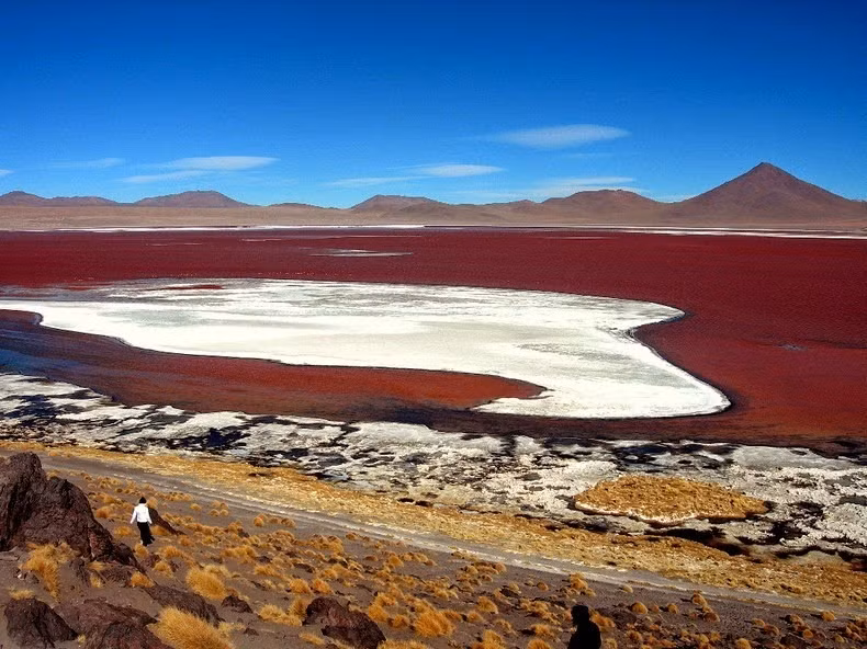 Theo các chuyên gia, hồ Laguna Colorada có diện tích khoảng 60 km2. Bên dưới đáy hồ có lớp trầm tích lắng đọng. Thêm nữa, các loài tảo sống trong hồ nước này đã sản sinh sắc tố đỏ.