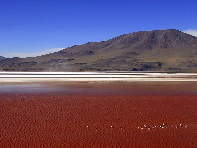 Hồ Laguna Colorada thuộc Vườn Dự trữ Sinh quyển quốc gia Eduardo Avaroa Andean, ở phía Tây Nam Bolivia, gần biên giới với Chile.