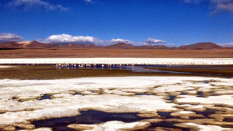 Sự xuất hiện của các đàn chim hồng hạc khiến hồ Laguna Colorada càng trở nên ấn tượng hơn trong mắt du khách.