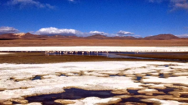 Sự xuất hiện của các đàn chim hồng hạc khiến hồ Laguna Colorada càng trở nên ấn tượng hơn trong mắt du khách.