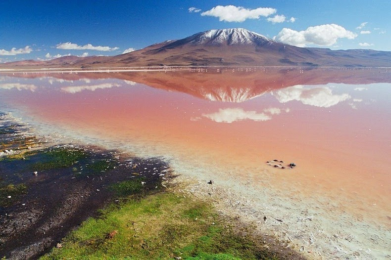 Do vậy, nước hồ Laguna Colorada có màu đỏ độc lạ như chúng ta thấy ngày nay.