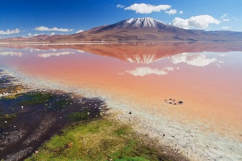 Do vậy, nước hồ Laguna Colorada có màu đỏ độc lạ như chúng ta thấy ngày nay.