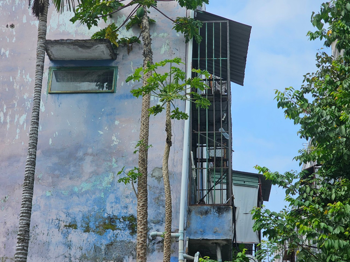 Theo quy định, nhà chung cư cấp độ C vẫn có thể sửa chữa để cho tồn tại. Tuy nhiên, các khối nhà chung cư này có nhiều bất cập nếu sửa chữa nên Sở Xây dựng đã đề xuất và thành phố thống nhất di dời, giải tỏa ba chung cư này.