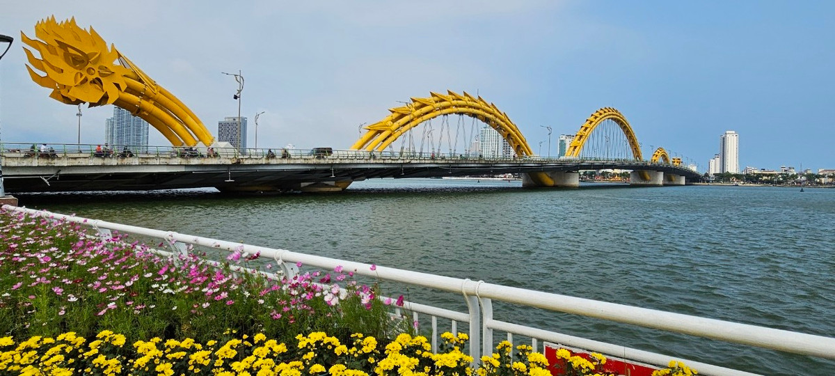 Để chuẩn bị cho công trình đặc biệt này, UBND thành phố Đà Nẵng đã tổ chức cuộc thi thiết kế kiến trúc cầu Rồng với sự tham gia của nhiều đơn vị tư vấn thiết kế. Cuối cùng, phương án thiết kế do một công ty tư vấn của Mỹ dựa trên ý tưởng thể hiện hình dáng rồng bay qua sông Hàn hướng ra biển lớn đã được lựa chọn.