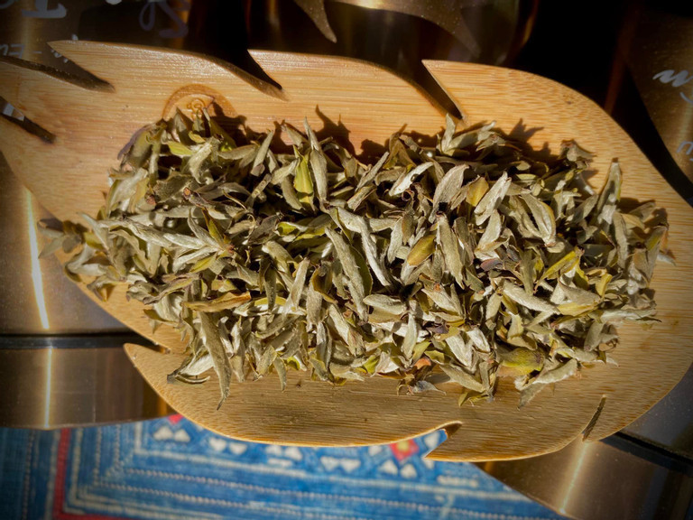 Nang cao gia tri “kho vang xanh” 1,1 trieu tan cua Viet Nam