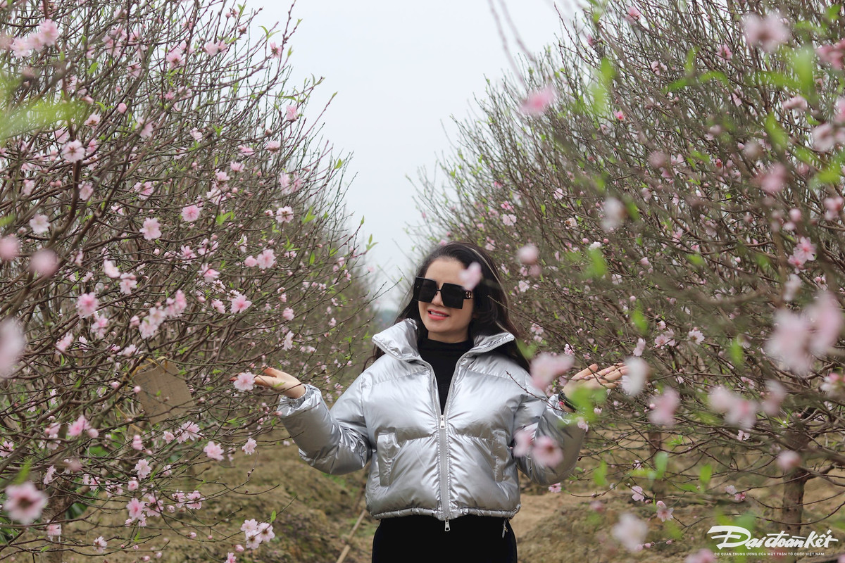 Chị Lại Thị Phương (trú TP Thanh Hóa) cho biết, hôm nay chị cùng các đồng nghiệp đến chọn đào cho công ty. Ngoài việc mua đào, chị Phương tranh thủ check-in bên vườn đào vô cùng bắt mắt. Ảnh: Đình Minh.