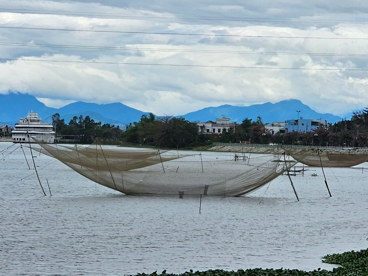 hung cảnh yên bình ở ngoại ô thành phố.