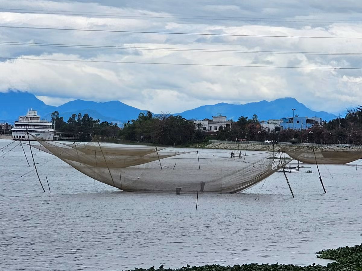 Khung cảnh yên bình ở ngoại ô thành phố.