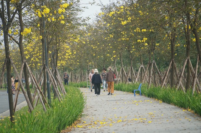 Theo tìm hiểu của phóng viên, con đường hoa này đã hình thành từ khoảng 3 năm nay, cứ đến mùa hoa nở lại thu hút nhiều người yêu thiên nhiên có thể vào thăm quan và chụp ảnh lưu niệm.