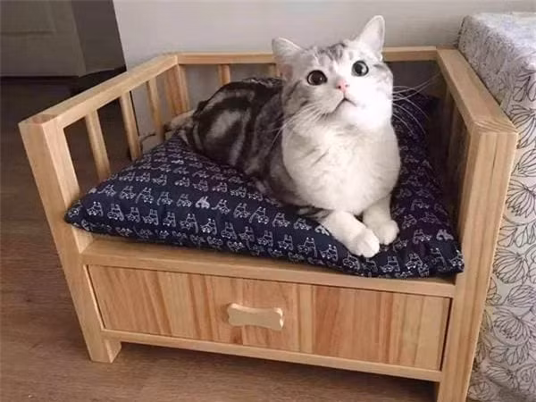 6 cach du meo ngu trong o-Hinh-4