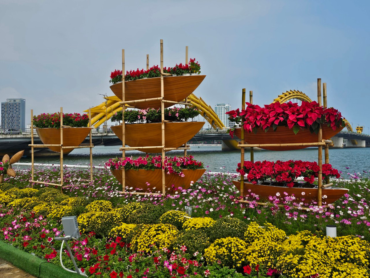 Theo kế hoạch, đường hoa Tết Đà Nẵng sẽ tổ chức phục vụ người dân, du khách đến tham quan, thưởng lãm đến hết ngày 19/2 (nhằm ngày mùng 10 tháng Giêng năm Giáp Thìn).