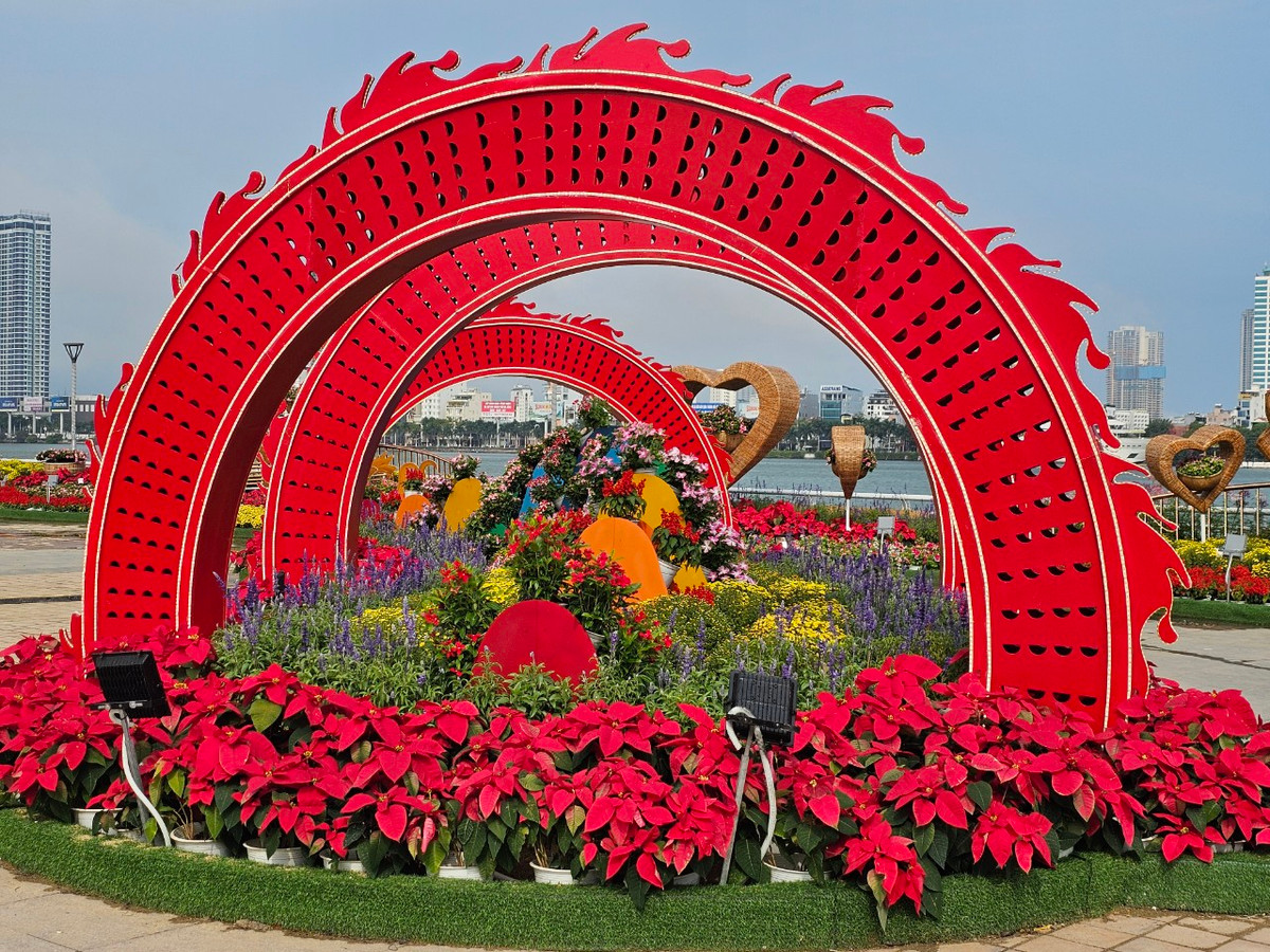 Song song với công tác đầu tư trang trí Tết Nguyên đán từ nguồn ngân sách nhà nước, UBND thành phố Đà Nẵng kêu gọi xã hội hóa trang trí hoa và điện chiếu sáng phục vụ Tết.