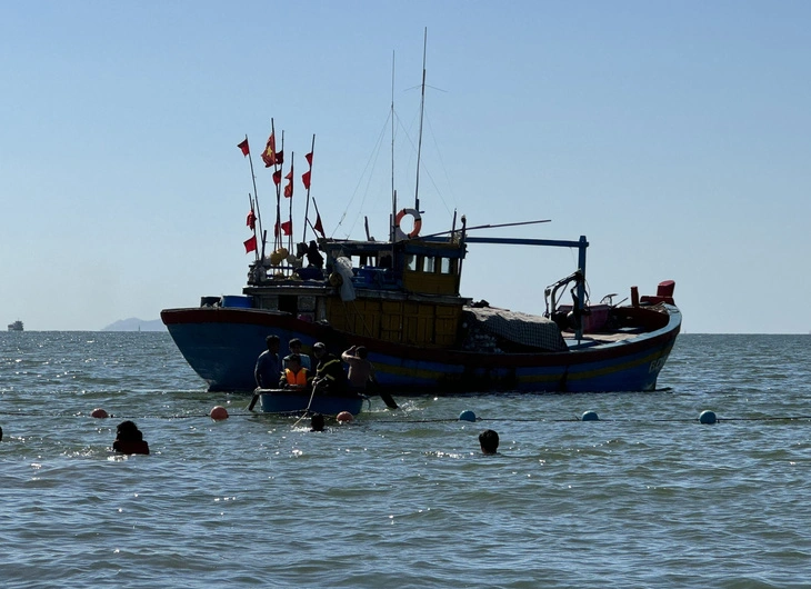 Chi cục Thủy sản Bình Định đã liên hệ với ngư dân hỗ trợ thuyền cùng Đội cứu hộ của thành phố nhanh chóng đưa cá ra vùng biển sâu, càng xa, càng sâu càng tốt, tại vị trí Phao số 0 để cá phục hồi sức khỏe và định hướng bơi ra ngoài khơi trở lại.