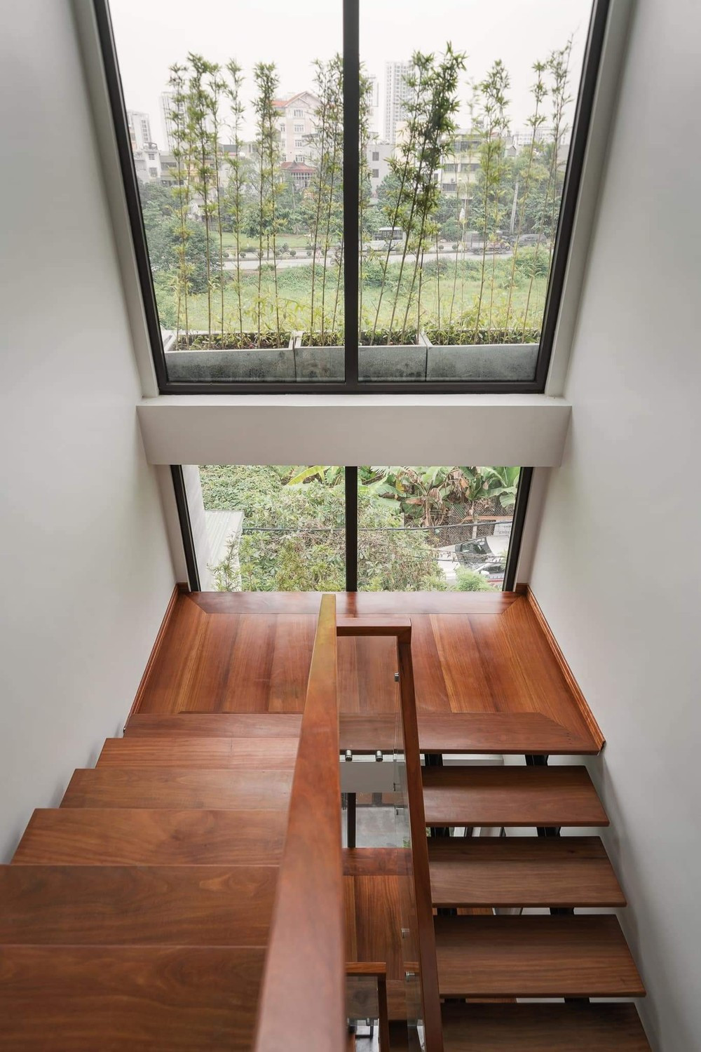 Mặt kính song song với cầu thang được thiết kế thêm các lô để trồng thêm trúc cảnh và cúc tần ấn độ, vừa tạo mảng xanh vừa đóng vai trò như rèm mát tự nhiên. 