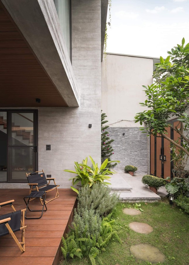 Thực vật lá xanh được gia chủ yêu thích với ưu điểm dễ chăm sóc. 