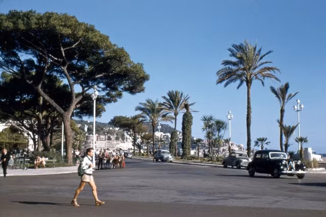 Hình ảnh ở Catalina Island.